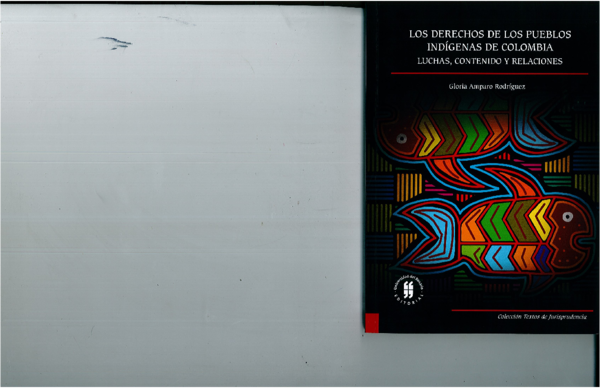(PDF) Los derechos de los pueblos indígenas en Colombia. Luchas ...