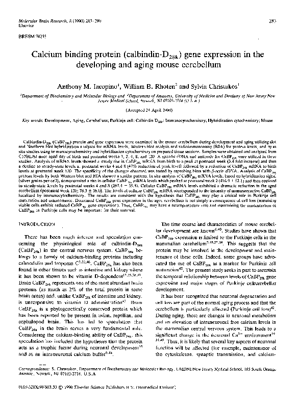 (PDF) Calcium binding protein (calbindin-D28k) gene expression in the ...