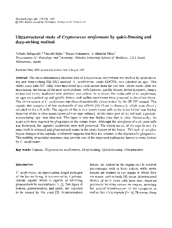(PDF) Ultrastructural study ofCryptococcus neoformans by quick-freezing ...