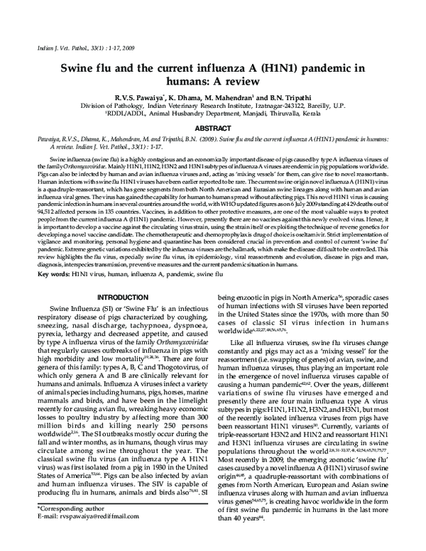 (PDF) Swine flu and the current influenza A (H1N1) pandemic in humans ...