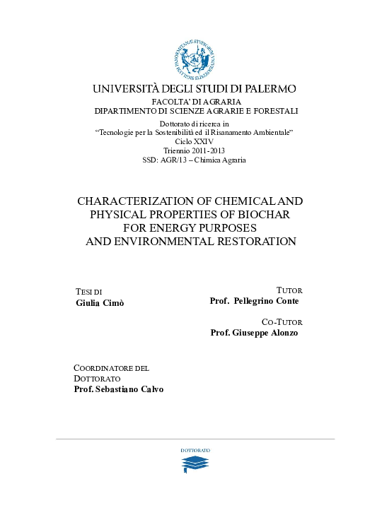 (PDF) CHARACTERIZATION OF CHEMICAL AND PHYSICAL PROPERTIES OF BIOCHAR ...