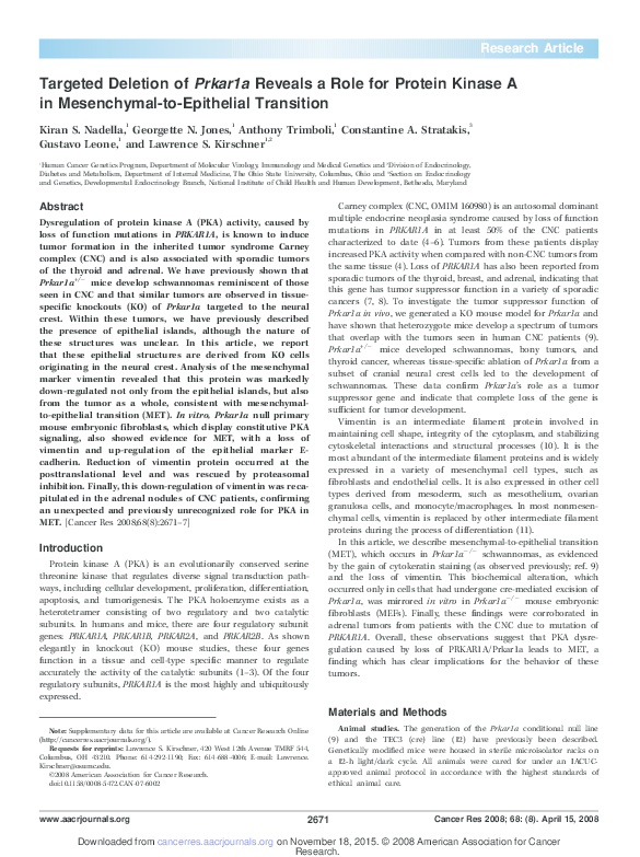 (PDF) Targeted Deletion of Prkar1a Reveals a Role for Protein Kinase A ...
