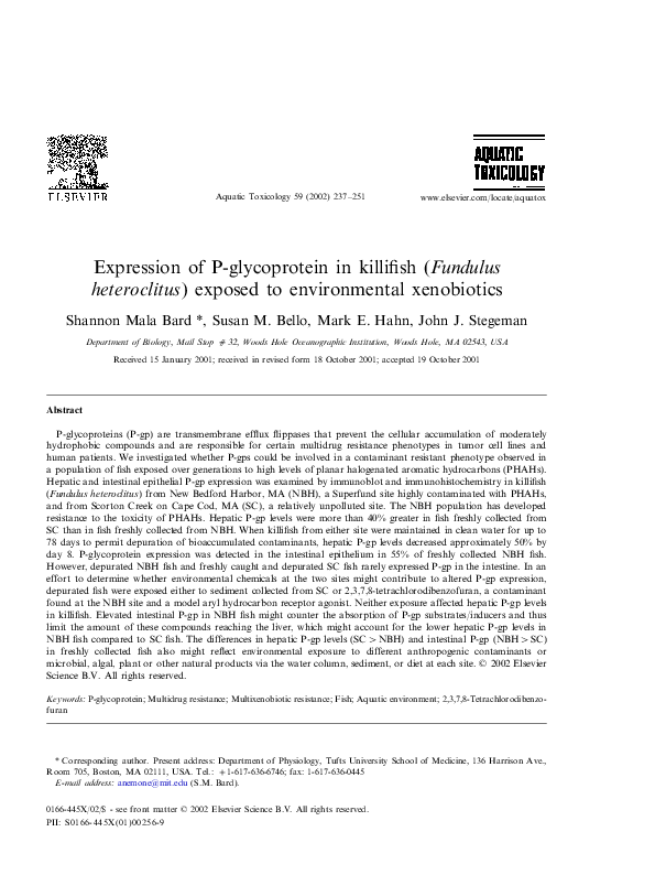 Xenobiotics function picture