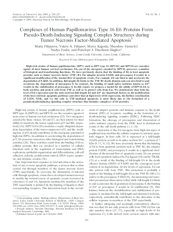 (PDF) Complexes of Human Papillomavirus Type 16 E6 Proteins Form Pseudo ...