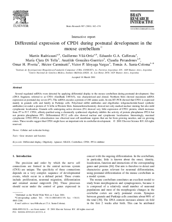 (PDF) Differential expression of CPD1 during postnatal development in ...