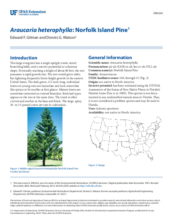 Pdf Araucaria Heterophylla Norfolk Island Pine1 Edward Gilman Academia Edu Pdf Araucaria Heterophylla Norfolk Island Pine1 Edward Gilman Academia Edu