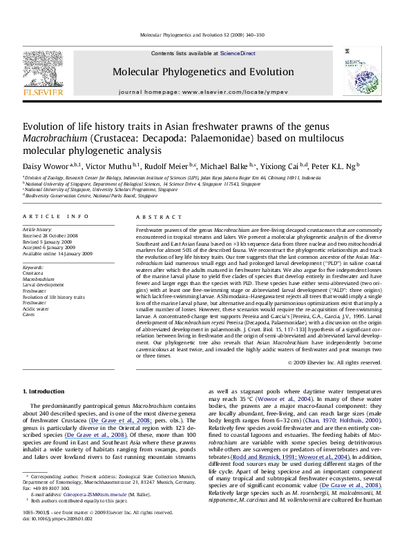 (PDF) Evolution of life history traits in Asian freshwater prawns of ...