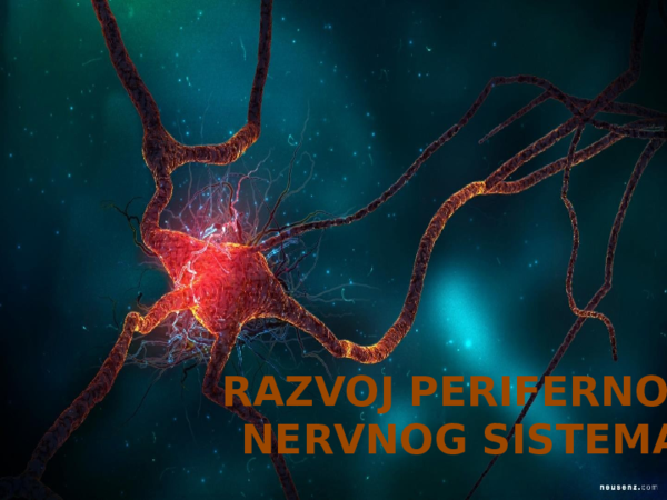 Synthesis essay example picture