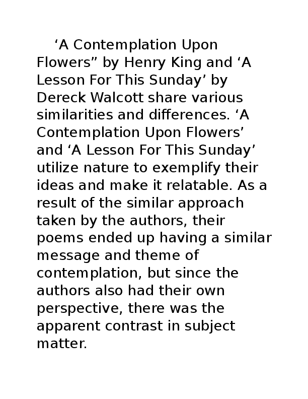 Contemplative essay examples 08 image