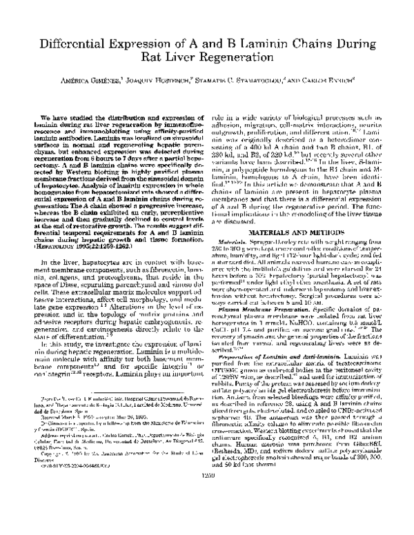 (PDF) Differential expression of A and B laminin chains during rat ...
