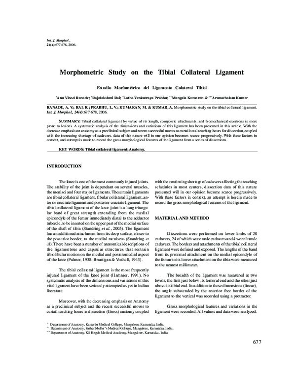 (PDF) Morphometric Study on the Tibial Collateral Ligament