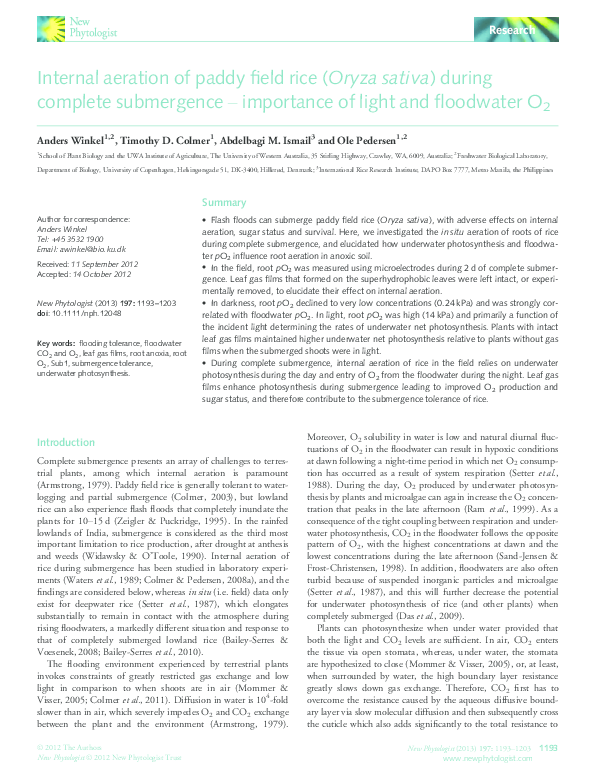 (PDF) Internal aeration of paddy field rice ( Oryza sativa ) during ...