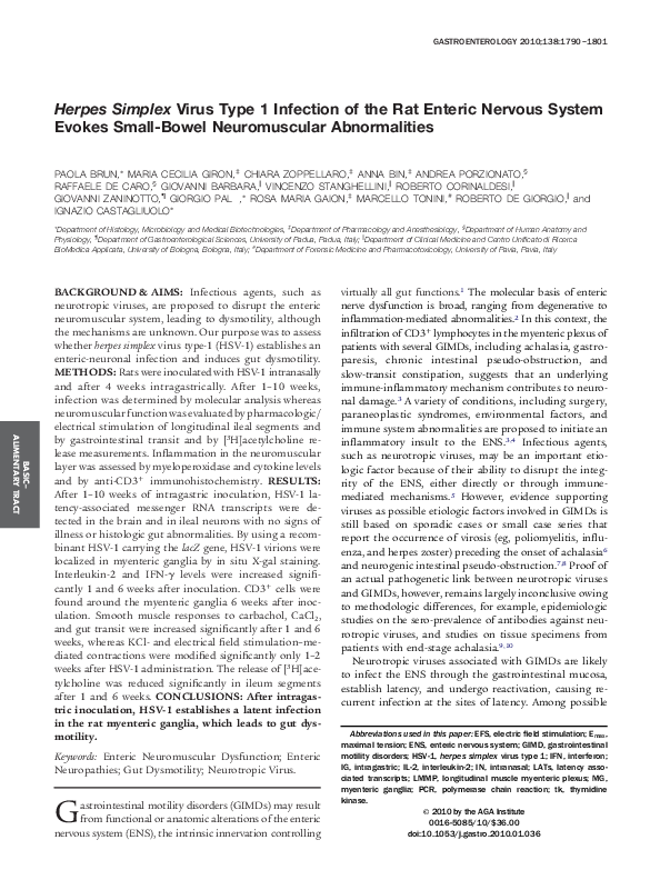 (PDF) Herpes Simplex Virus Type 1 Infection of the Rat Enteric Nervous ...