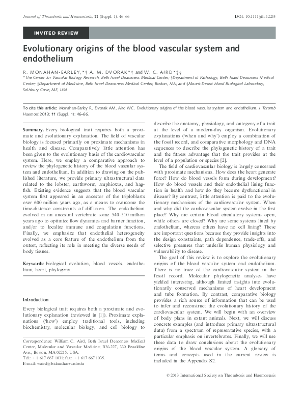 (PDF) Evolutionary origins of the blood vascular system and endothelium