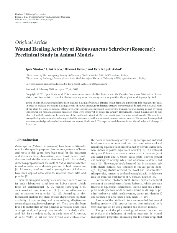 (PDF) Wound Healing Activity of Rubus sanctus Schreber (Rosaceae