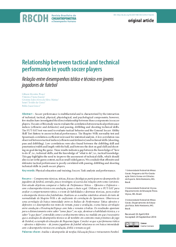 (PDF) Relationship between tactical and technical performance in youth ...