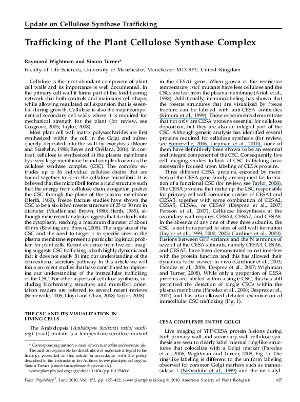 (PDF) Trafficking of the Plant Cellulose Synthase Complex