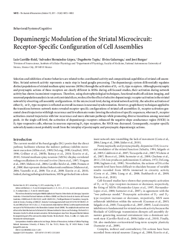 (PDF) Dopaminergic Modulation of the Striatal Microcircuit: Receptor ...