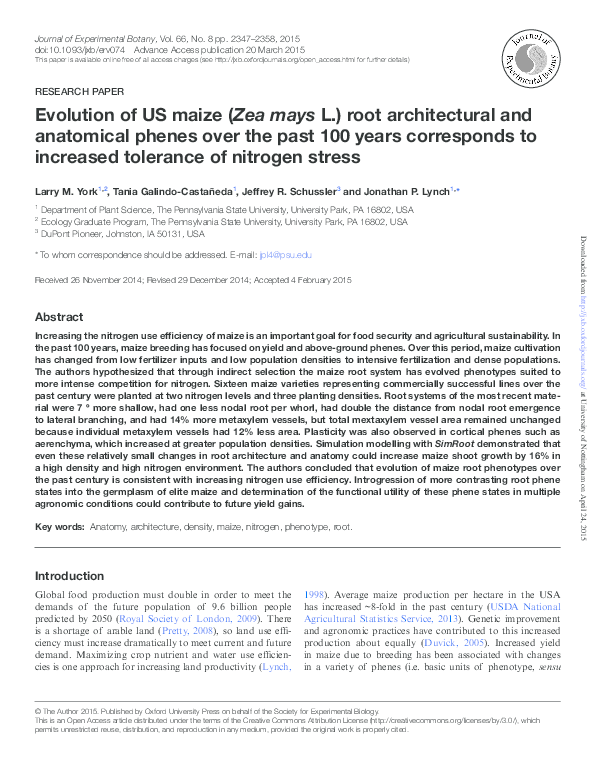 (PDF) Evolution of US maize (Zea mays L.) root system architectural and ...