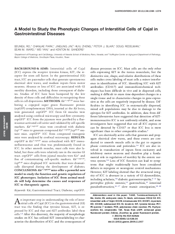 (PDF) A Model to Study the Phenotypic Changes of Interstitial Cells of ...