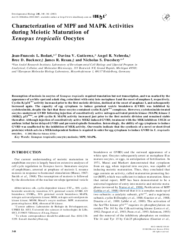 (PDF) Characterization of MPF and MAPK Activities during Meiotic ...
