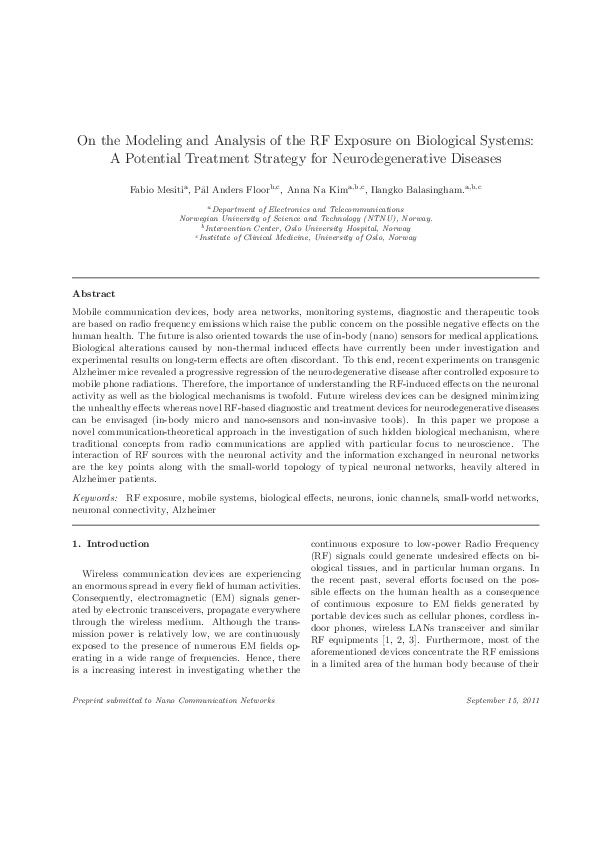 Corporate strategy essay picture