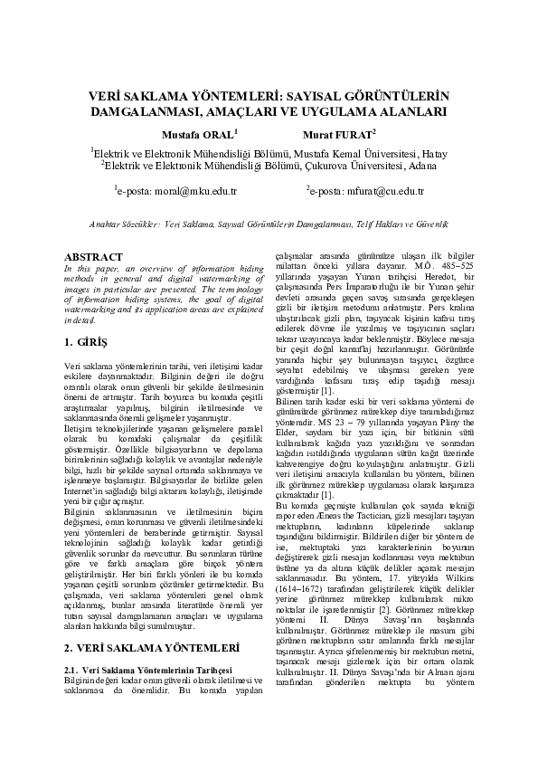 Essay on veri picture