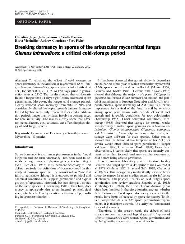 Andrew heywood international relations pdf picture