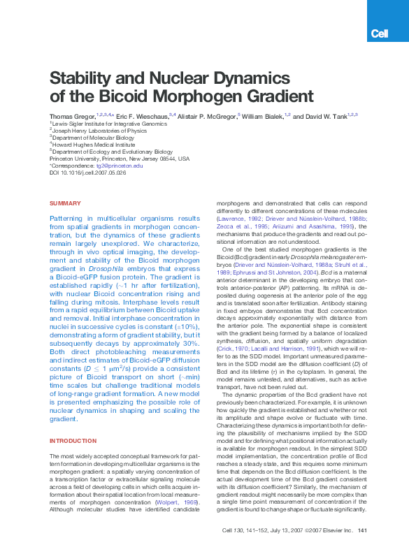 (PDF) Stability and Nuclear Dynamics of the Bicoid Morphogen Gradient
