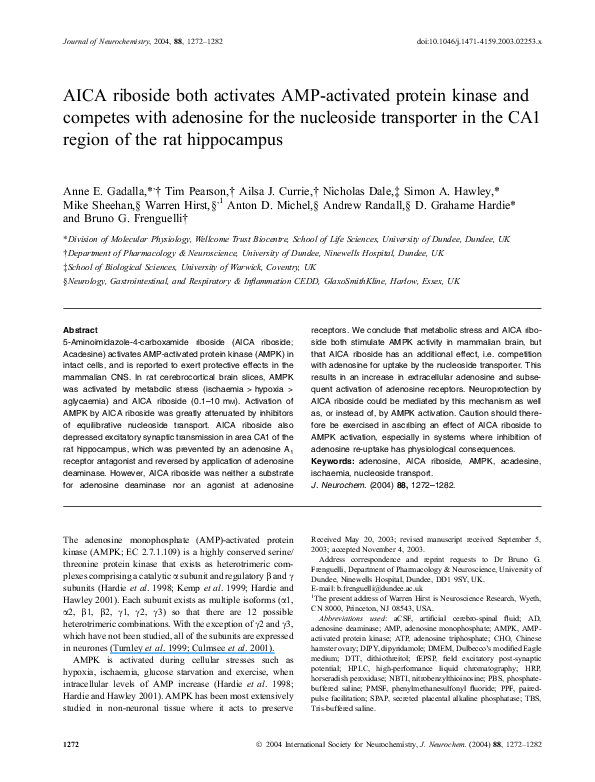 (PDF) AICA riboside both activates AMP-activated protein kinase and ...