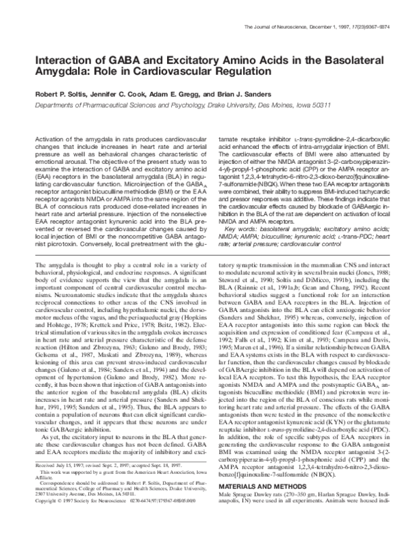 (PDF) Interaction of GABA and excitatory amino acids in the basolateral ...