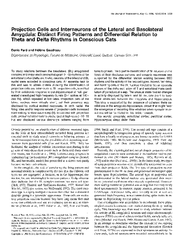 (PDF) Projection cells and interneurons of the lateral and basolateral ...