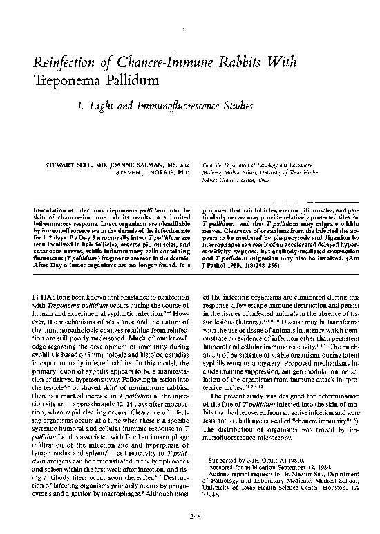 (PDF) Reinfection of chancre-immune rabbits with Treponema pallidum. I ...