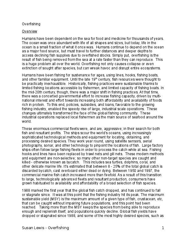 Overfishing essay example image