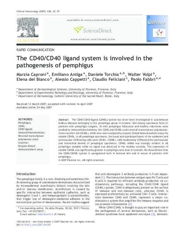 (PDF) The CD40/CD40 ligand system is involved in the pathogenesis of ...