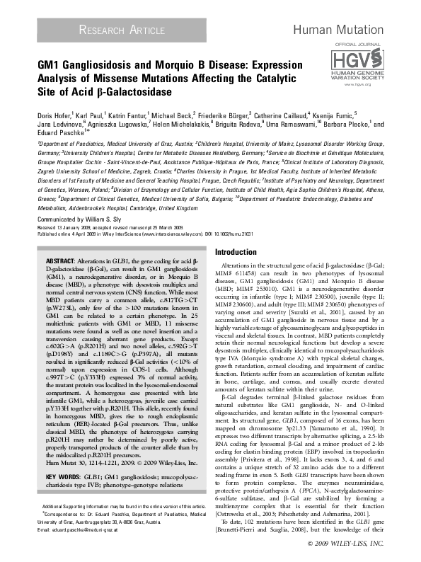 Gangliosidoses essay 07 image