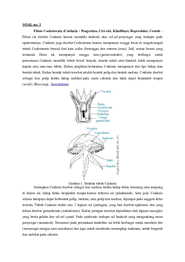 Doc Acara 3 Wawan Bayu Gilang Academia Edu
