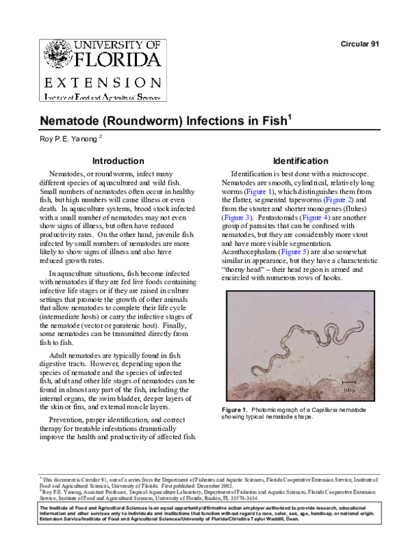 (PDF) Nematode (Roundworm) Infections in Fish1