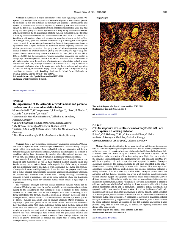 The organization of the osteocyte network in bone and potential mechanisms of passive mineral dissolution