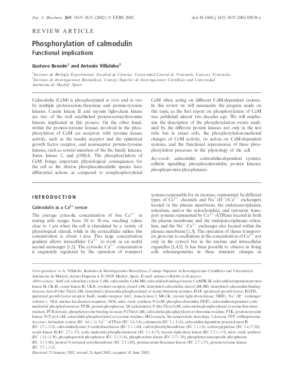 Calsequestrin and calmodulin difference picture