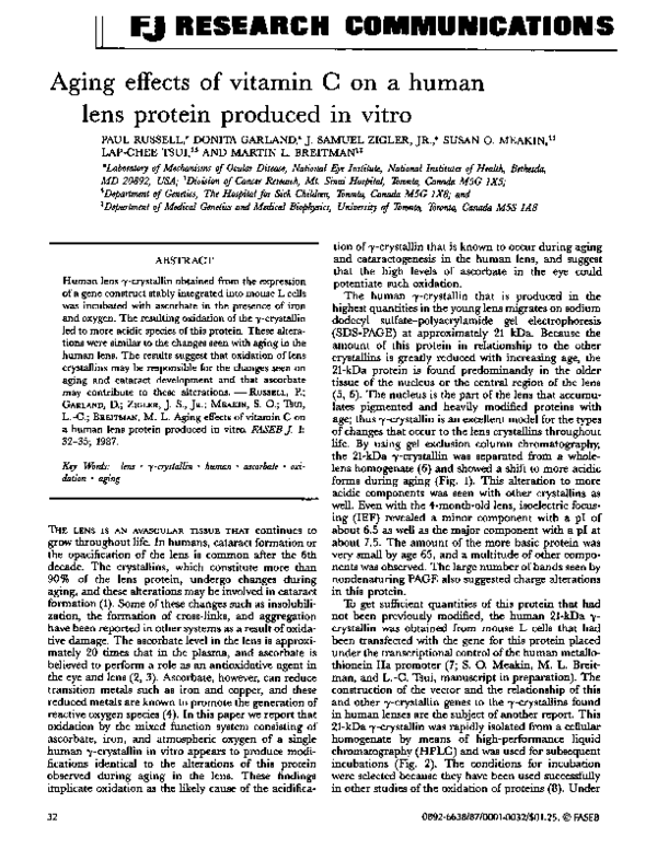 (PDF) Aging effects of vitamin C on a human lens protein produced in vitro