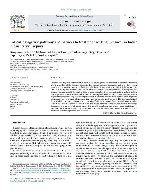 (PDF) Patient navigation pathway and barriers to treatment seeking in ...
