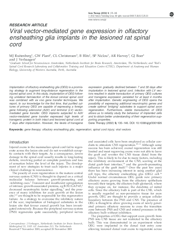 (PDF) Viral vector-mediated gene expression in olfactory ensheathing ...