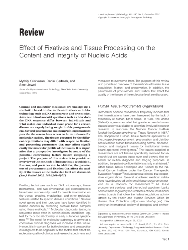 (PDF) Effect of Fixatives and Tissue Processing on the Content and