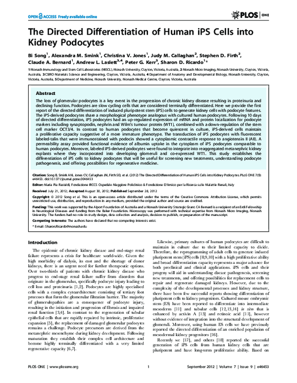 (PDF) The directed differentiation of human iPS cells into kidney podocytes