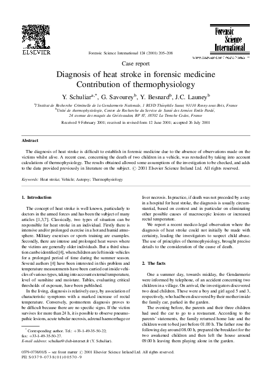 Heat stroke causes image