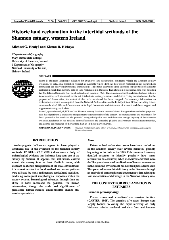 What is a swamp picture