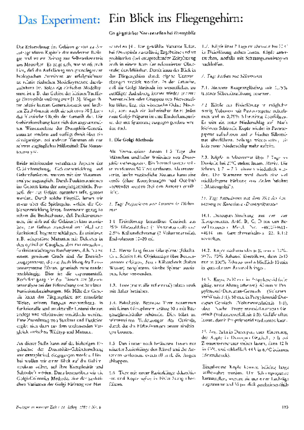 The experiment movie picture