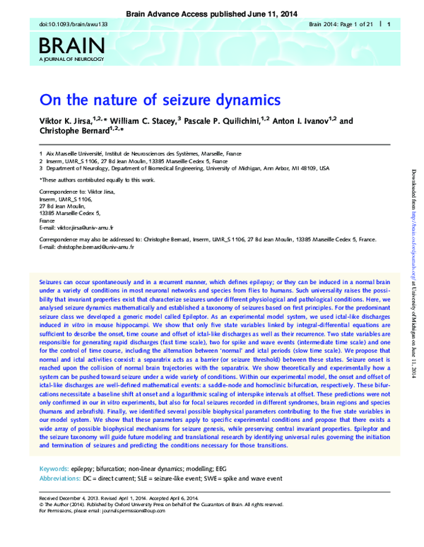 (PDF) On the nature of seizure dynamics
