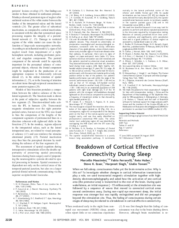 (PDF) Breakdown of cortical effective connectivity during sleep